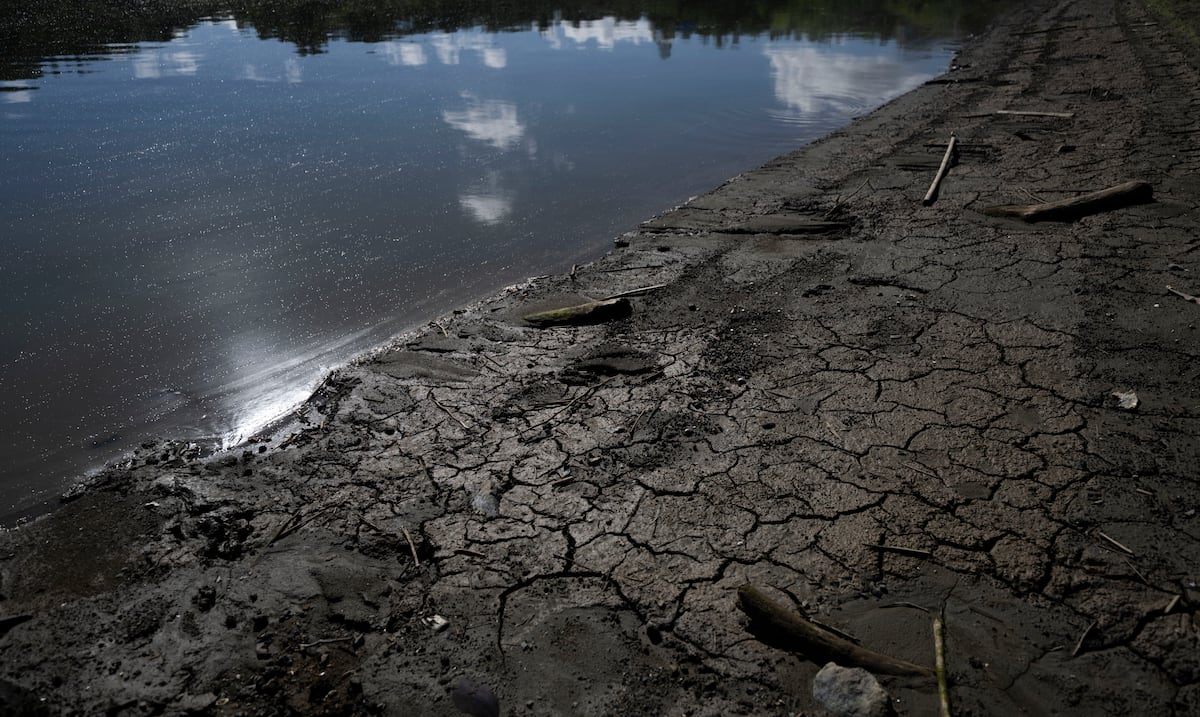 Embalse La Plata baja seis centímetros; Carraízo sigue bajo "observación"