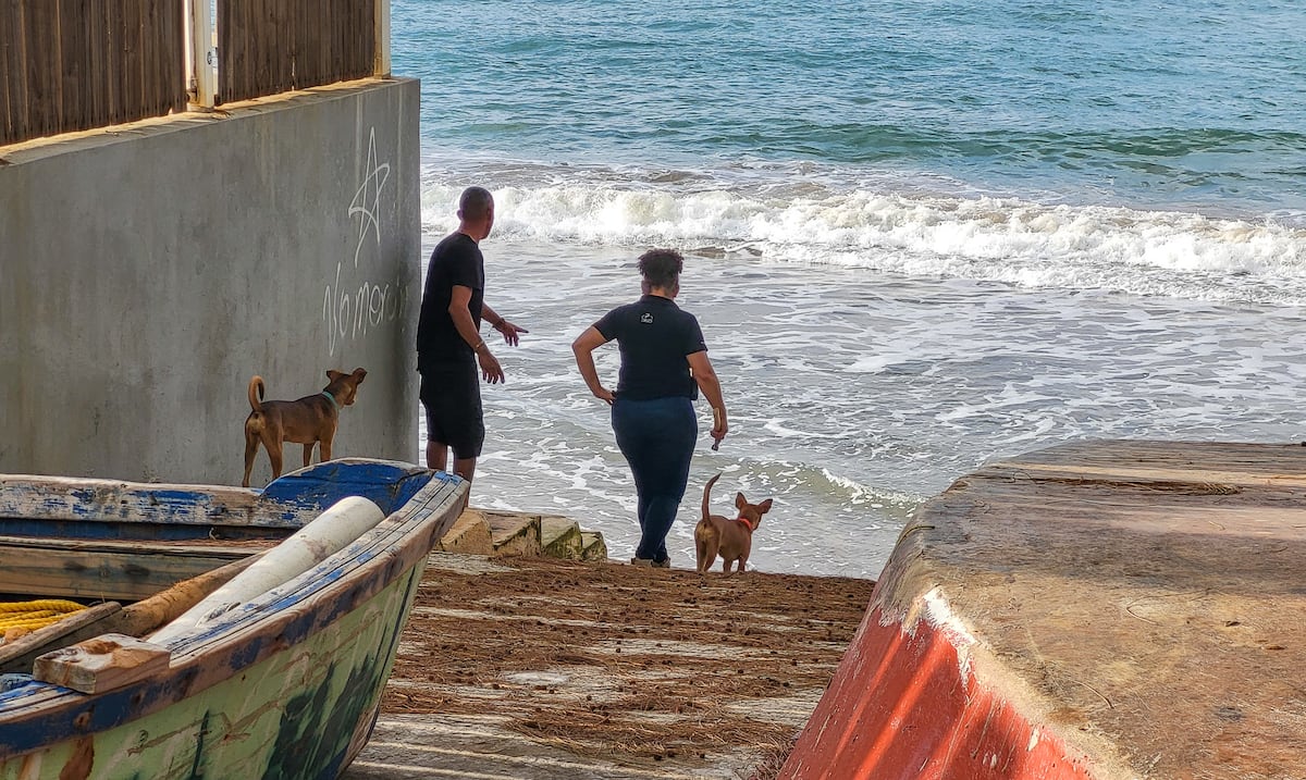Inventario costero: 88% de playas del oeste de Puerto Rico tienen accesibilidad limitada