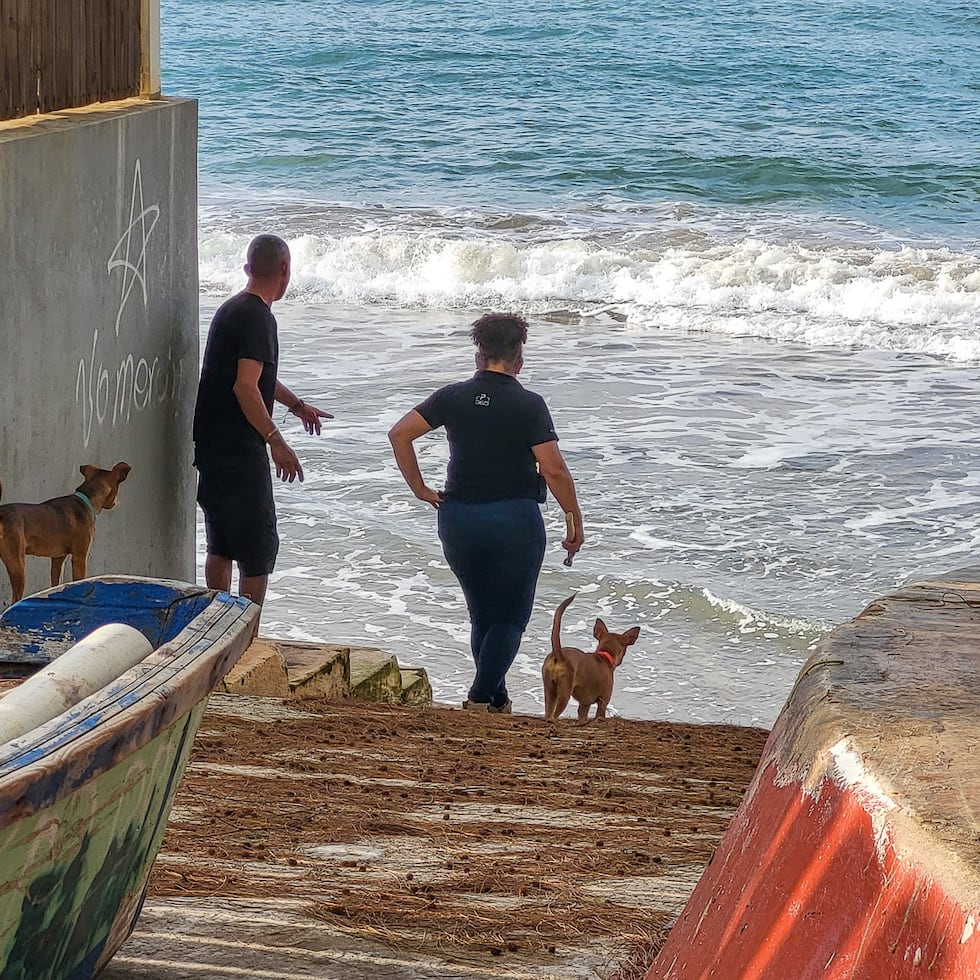 PAUSA 365 hizo un inventario del acceso a las playas de la zona oeste, actualizando la guía existente desde 2006 e incorporando, por primera vez, la tecnología de drones para crear un mapa interactivo a 360 grados.