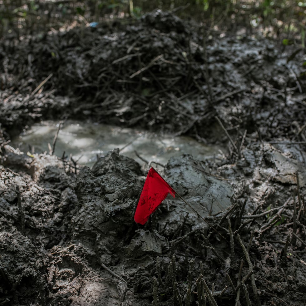 Una bandera marca el sitio de una fosa clandestina en Puquita, una isla tropical cerca de Alvarado.
