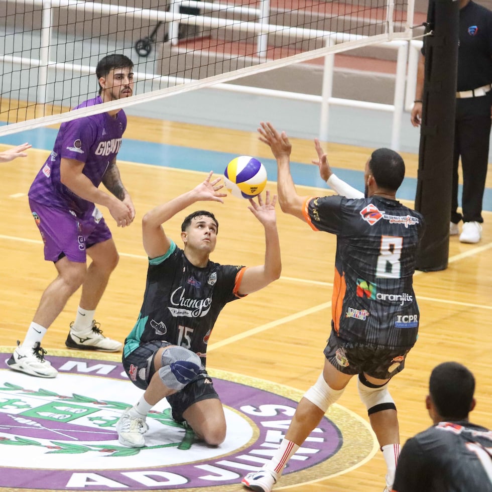 El colocador de los Changos, Amaury Miranda, tiene varias opciones con este balón mientras el bloqueo de los Gigantes de Adjuntas parece anticipar un acomodo por la zona uno en el juego en el Coliseo Rafael Llull de Adjuntas.