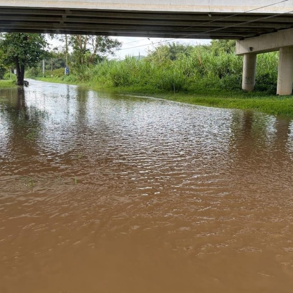 El desbordamiento del Río Blanco en Naguabo provocó que se inundara la salida #22 del expreso PR-53.