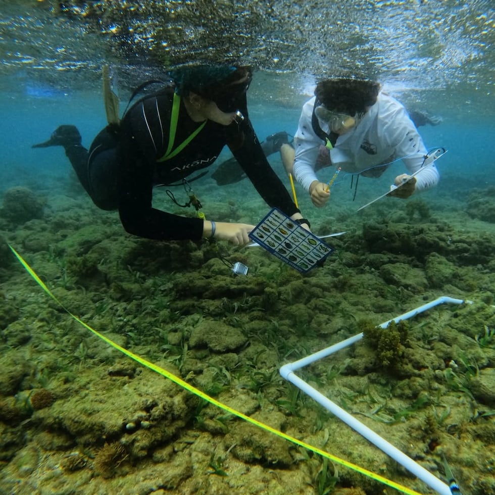 A nivel nacional, la Semana de los Estuarios se celebra del 20 al 27 de septiembre.