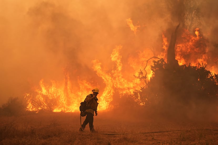 Expertos explican que el fuego tiende a responder al calor y a la sequía de forma exponencial. Por cada grado de calentamiento, se obtiene una explosión mayor en términos de incendios que la obtenida con el grado de calentamiento anterior.