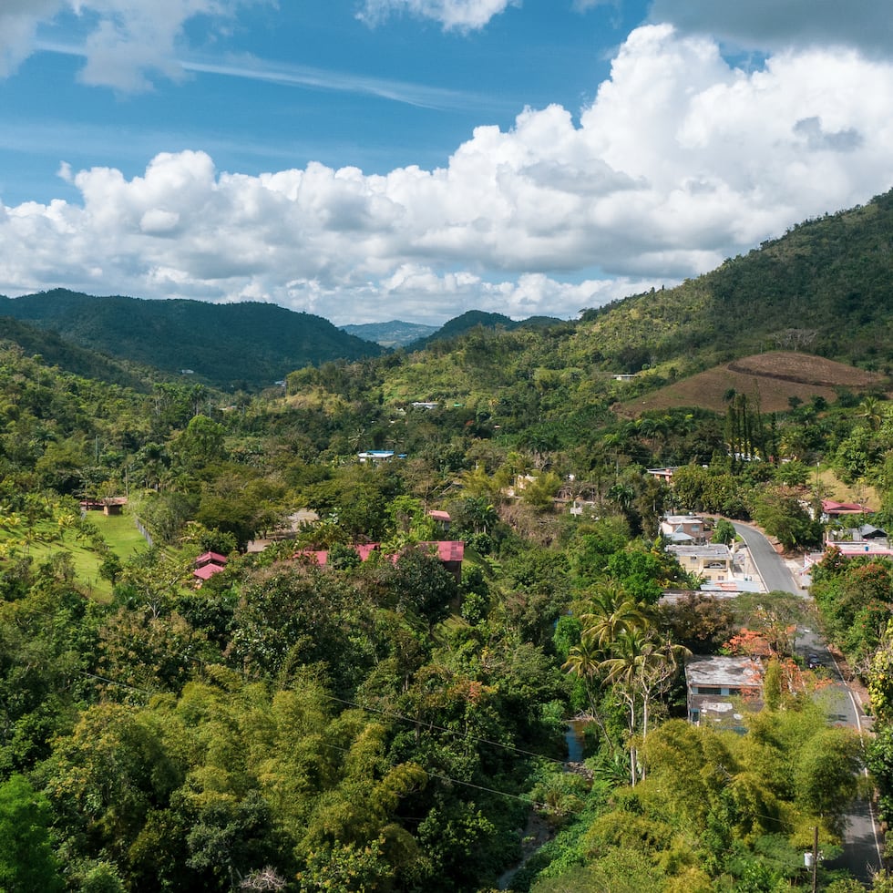 Según nuevas estimaciones del Censo, solo cinco de los 78 pueblos de la isla –principalmente en la zona montañosa– observaron un aumento en su población entre 2020 y 2025.