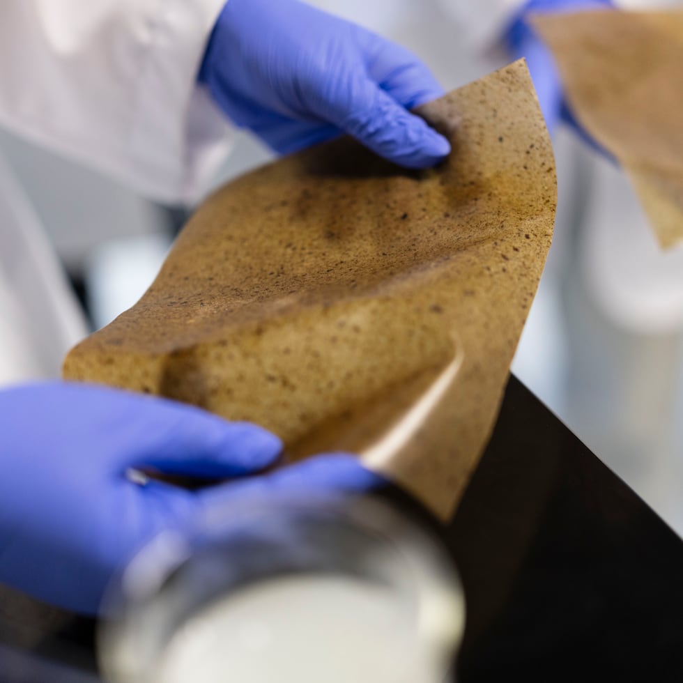 Este verano, se proyecta desarrollar el primer prototipo de bolsas plásticas biodegradables, a partir del material desarrollado con cáscaras de plátano.