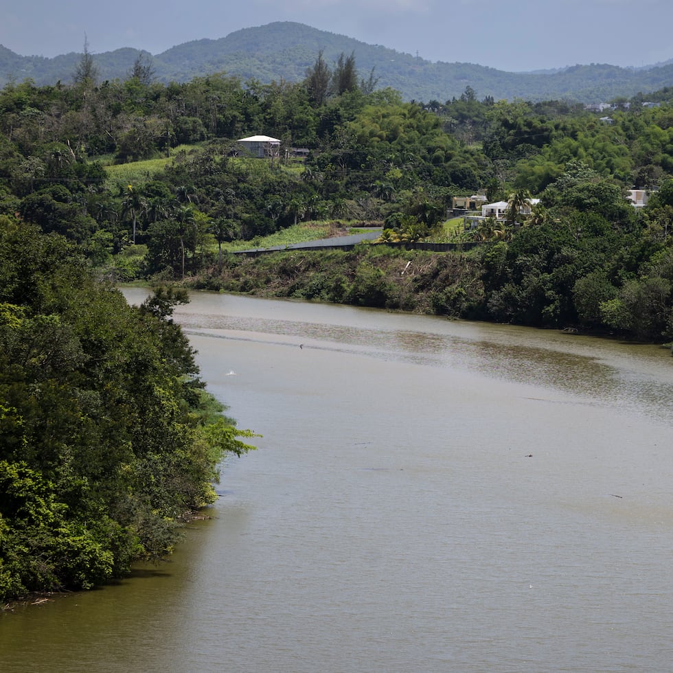 Septiembre 18 del 2026 Trujillo Alto, PR. — Lluvias asociadas a una onda tropical en nuestra región brindaron un alivio a los embalses de Carraízo y La Plata, que amanecieron este viernes con un aumento en sus niveles de agua. En la foto el embalse de Carraizo.
####
FOTO por: Xavier Araújo
Xavier.araujo@gfrmedia.com