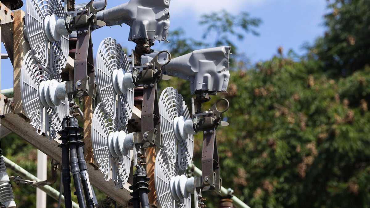 Iguanas, culebras y sapos: protectores reducen un 40% las averías por contacto de animales en las subestaciones eléctricas