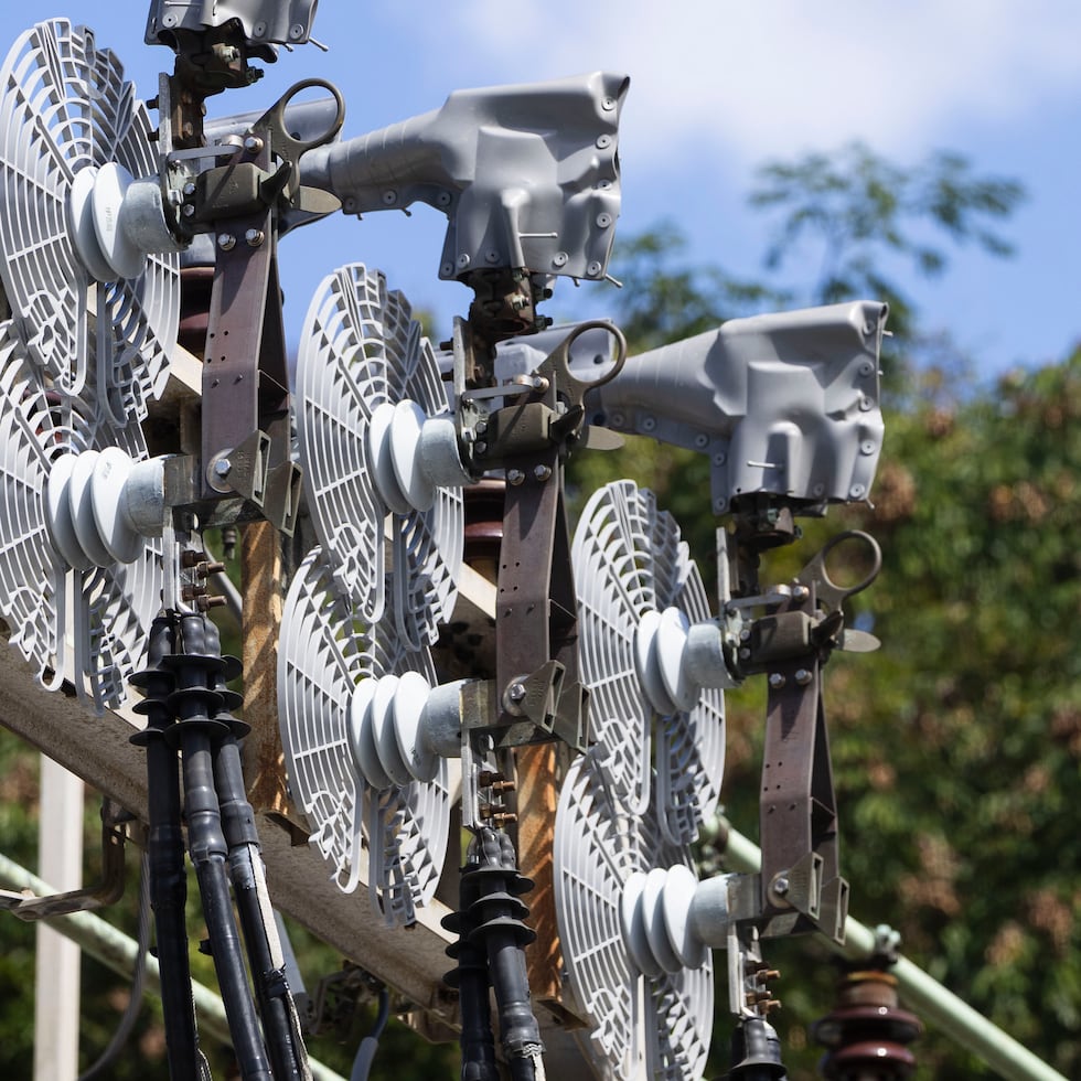 Un 8% de los eventos en las subestaciones están relacionados con vida silvestre, mientras que, en las líneas de transmisión, un 9% de las averías también son causadas por animales.