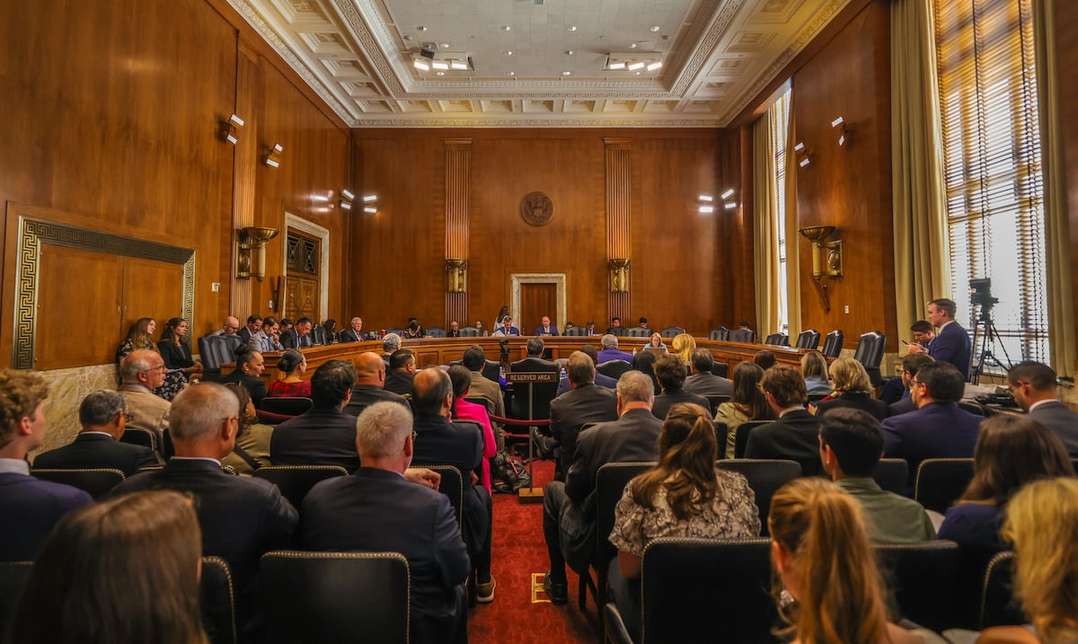 Diáspora puertorriqueña pide al Senado federal resolver estatus territorial y restituir fondos solares