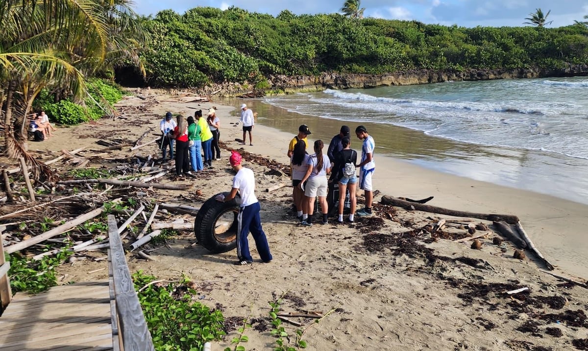 Scuba Dogs Society abre registro para Limpieza Internacional de Costas 2026 en Puerto Rico