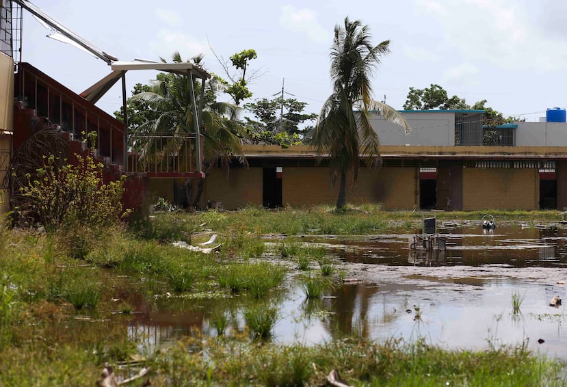 Un enorme patio interior se convirtió en una laguna de agua estancada, llena de lodo y lomo.