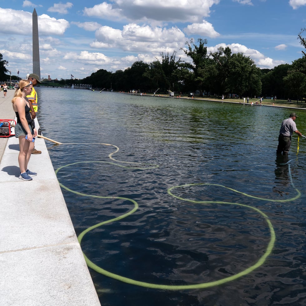 Incluso si alguien hubiera arrancado tiras de pintura del costado del estanque, eso no explicaría las nubes de algas en el agua verde ni las franjas de pintura azul suelta desprendidas del fondo.