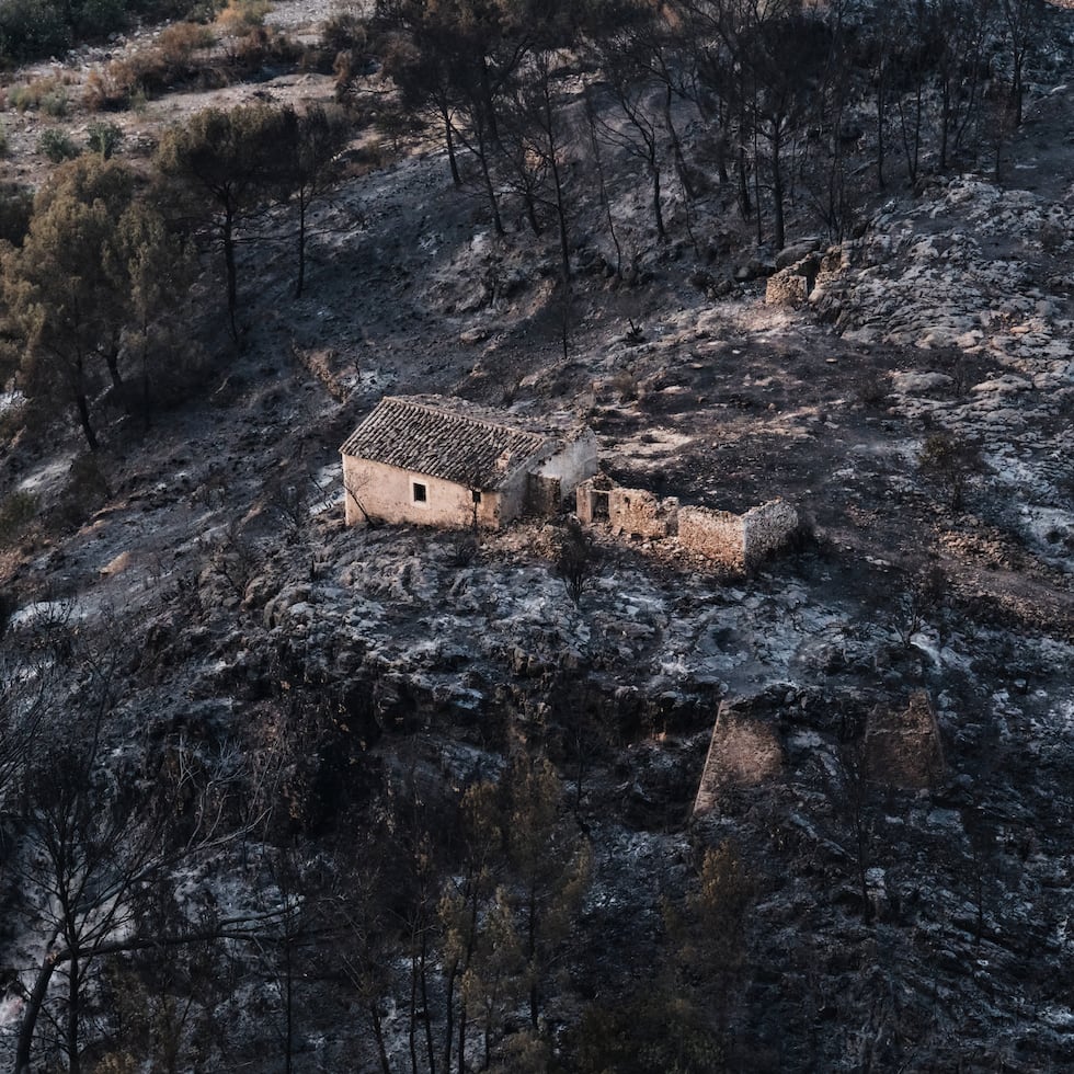 Vista de una zona arrasada por incendios forestales en Bédar, cerca de Almería, España.