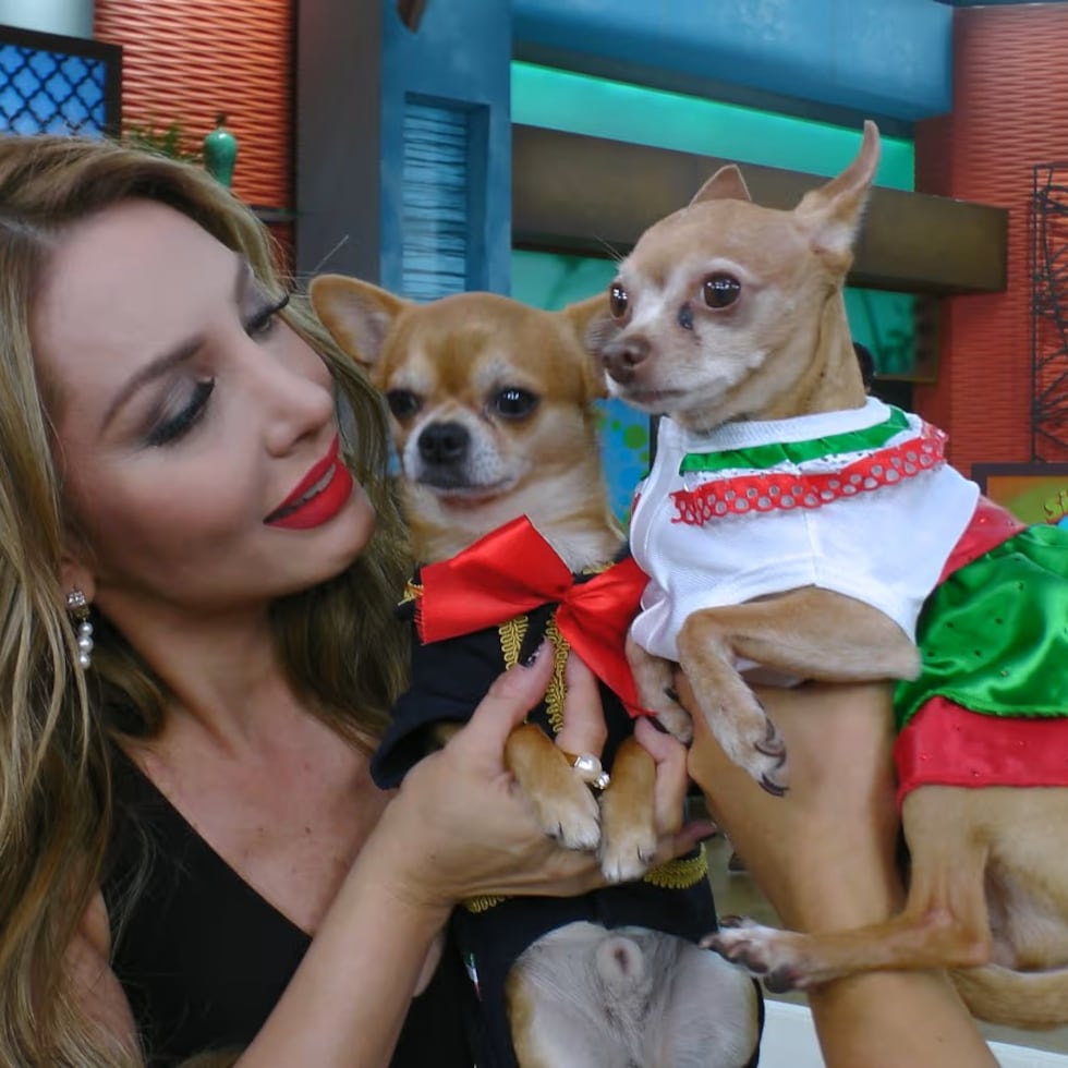 Bruno visitó a Paty Navidad en "La casa de los famosos".