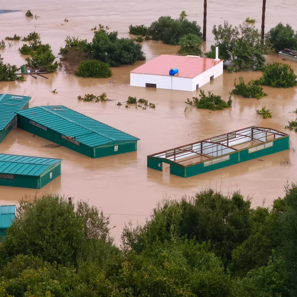 Vista de las inundaciones en la localidad de San Martín del Tesorillo, el jueves 5 de febrero de 2026, afectada por las fuertes lluvias que azotaron el sur de Andalucía.