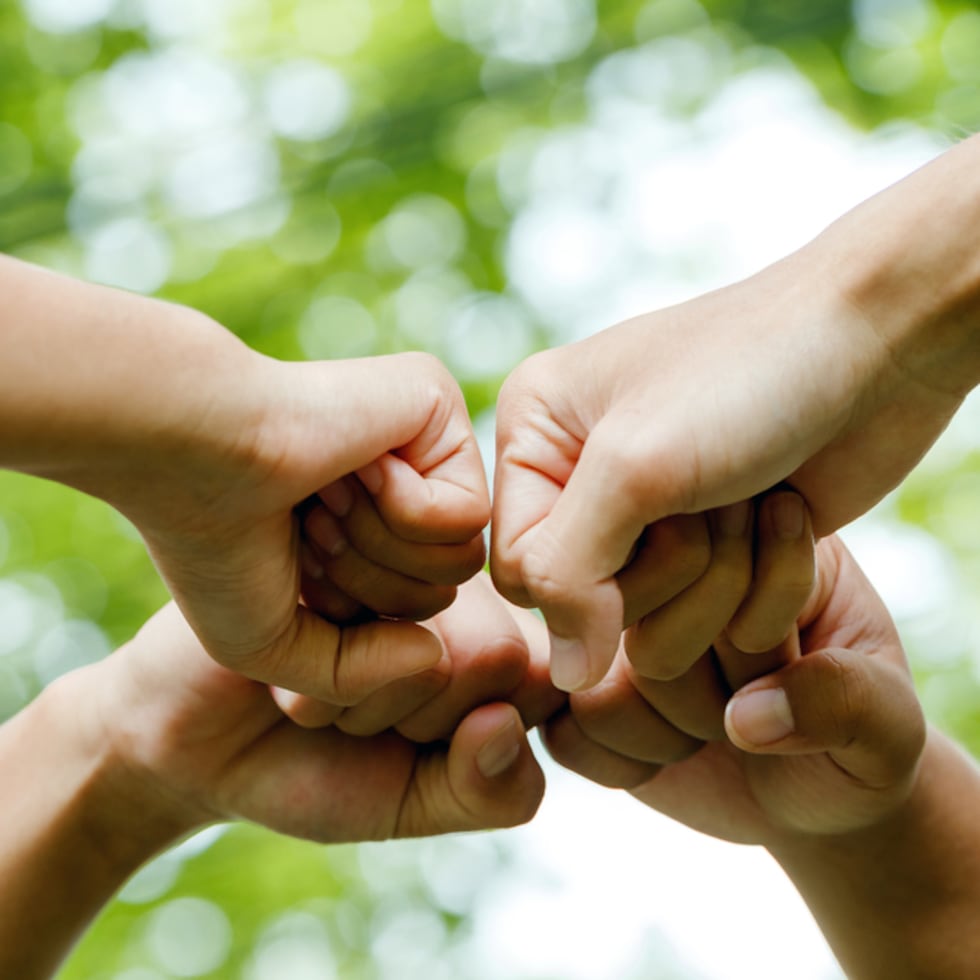 Las 40 horas de servicio comunitario que exige la ley se pueden realizar en proyectos especiales dirigidos por maestros o en organizaciones comunitarias sin fines de lucro, siempre que sea fuera del horario lectivo.