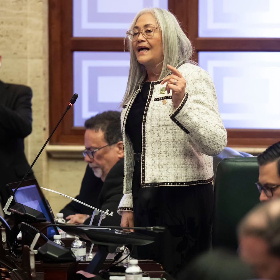 La legislación es de la autoría de la representante de Proyecto Dignidad, Lisie Burgos.