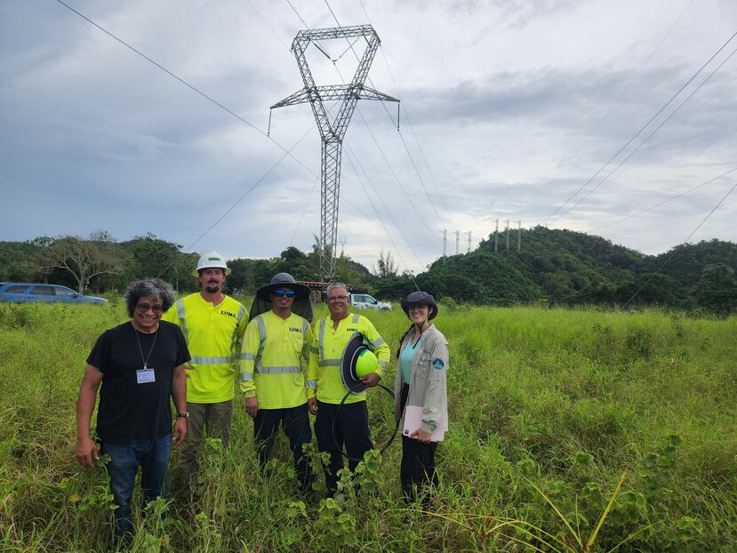 El profesor Jorge González Cruz, la estudiante de la Universidad de Albany Bianca Méndez y trabajadores de LUMA Energy durante la instalación de herramientas del estudio sobre la resistencia de la red eléctrica.