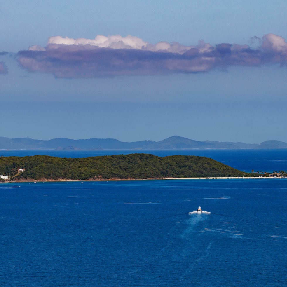 View of the Palomino Island.