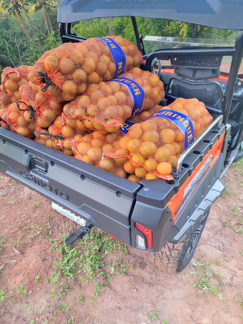 Festival de la China Dulce en Las Marías.