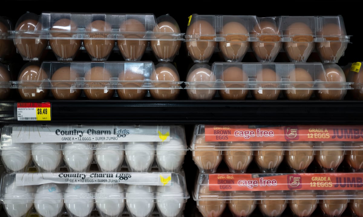 Sector agrícola explica por qué los huevos marrones pierden color al hervirse