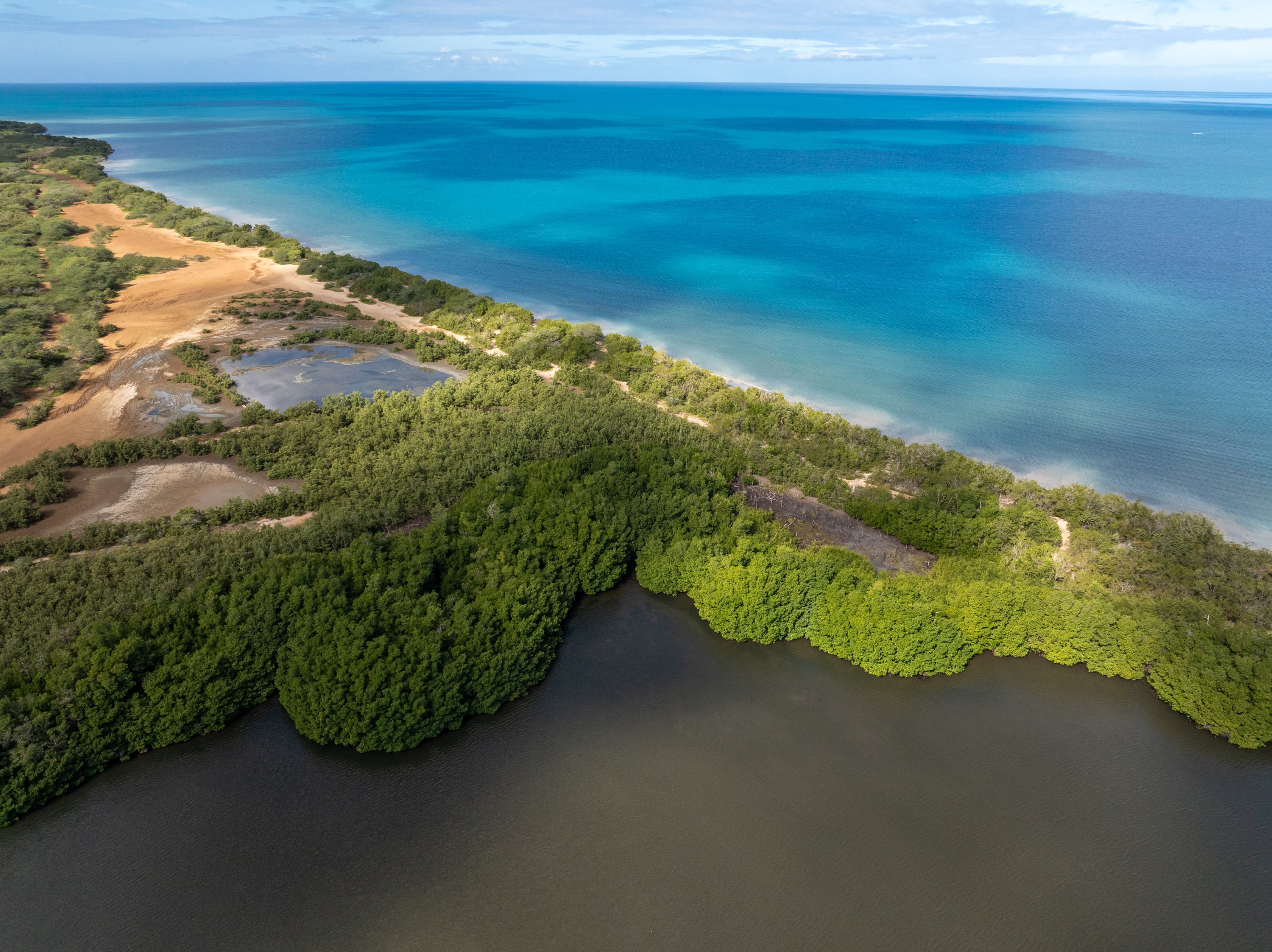 Imagen de la cobertura de: Senado evalúa la viabilidad de Esencia en Cabo Rojo por su demanda de agua
