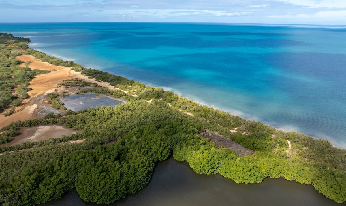 Puerto Rico Senate to hold public hearings on feasibility of Esencia megaproject in Cabo Rojo