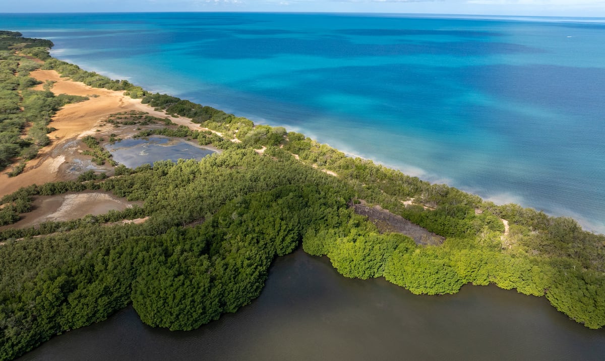 Senado investigará viabilidad del megaproyecto turístico Esencia en Cabo Rojo