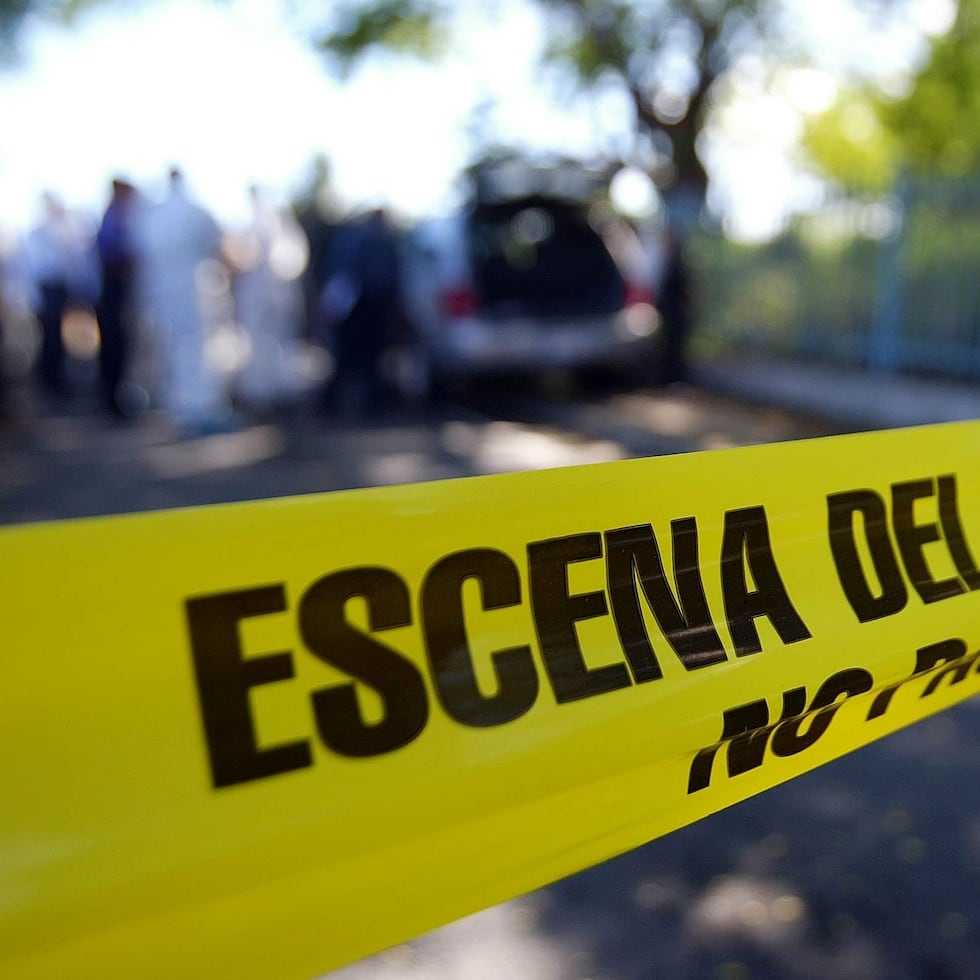 La Policía en Toa Baja informó el hallazgo de un cadáver en una zona verde de la avenida Candelaria, en el barrio Bucarabones.