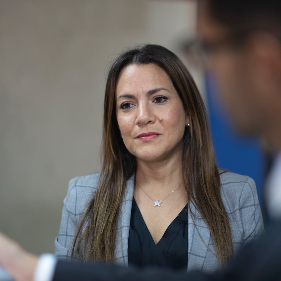 Vanessa Santo Domingo, ex comisionada electoral del PNP.