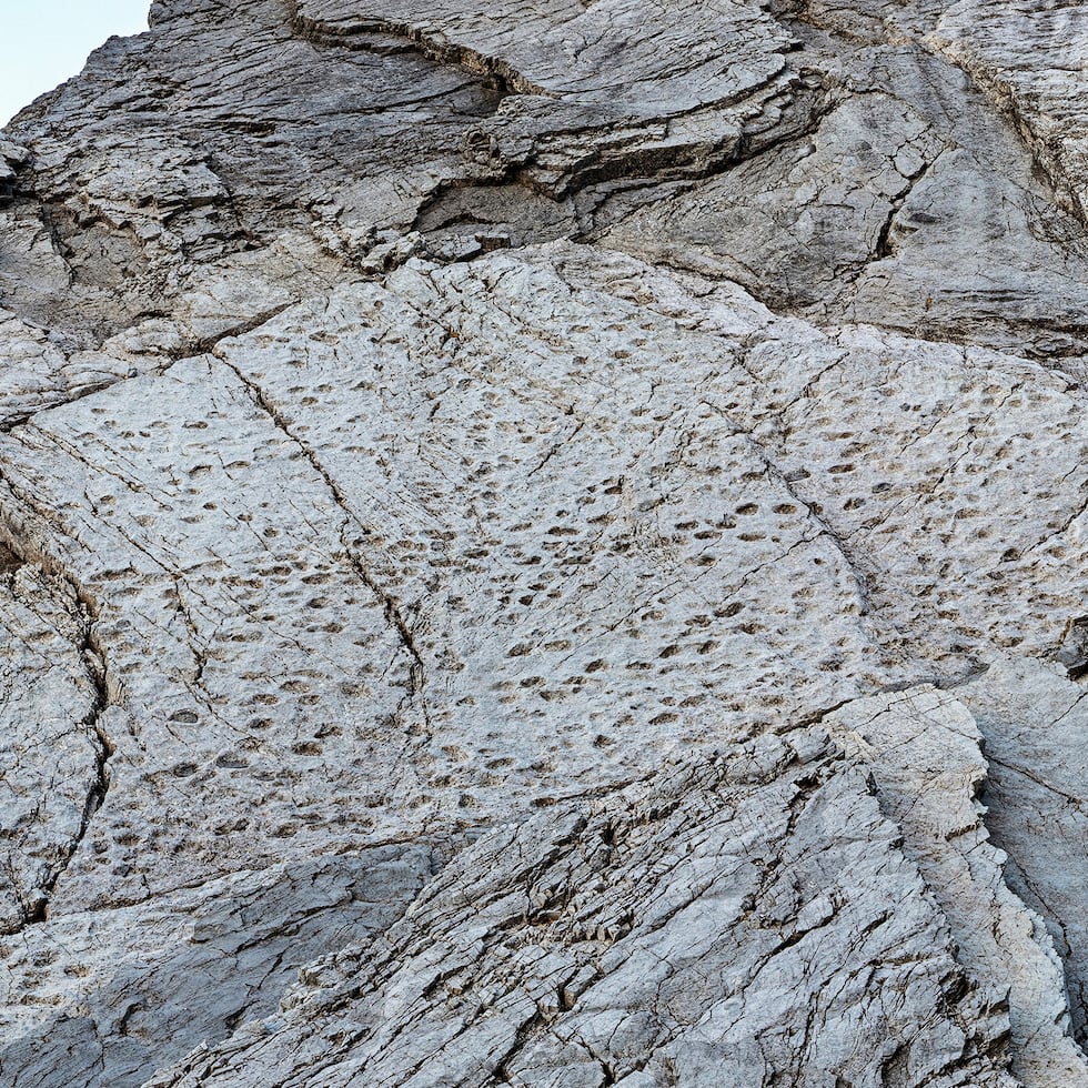 En esta fotografía tomada en septiembre de 2025 y publicada el martes 16 de diciembre de 2025 por el Parque Nacional Stelvio, se observan huellas de prosaurópodos del Triásico Superior en las laderas del valle de Fraeel, en el norte de Italia. (Parque Nacional Elio Della Ferrera/Stelvio vía AP)