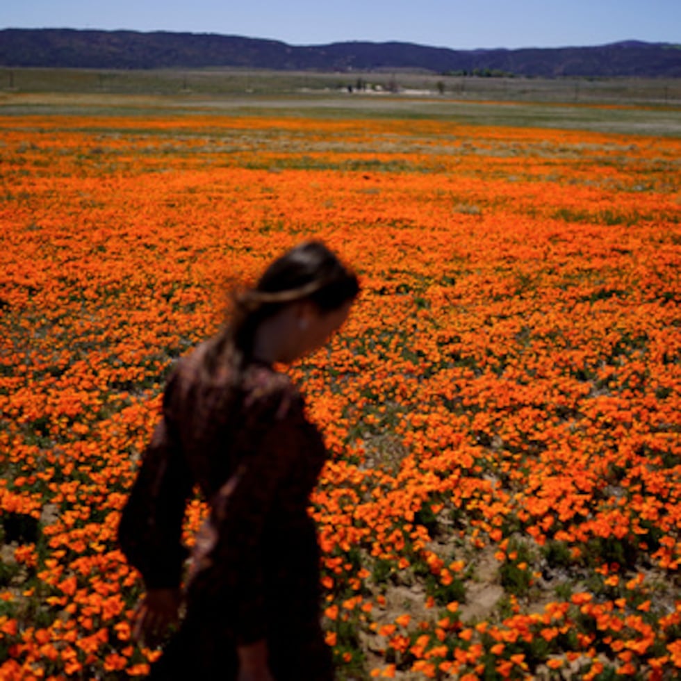 El lugar donde vives, a qué eres alérgico y tu estilo de vida pueden marcar una gran diferencia en cuanto a la gravedad de tus alergias.