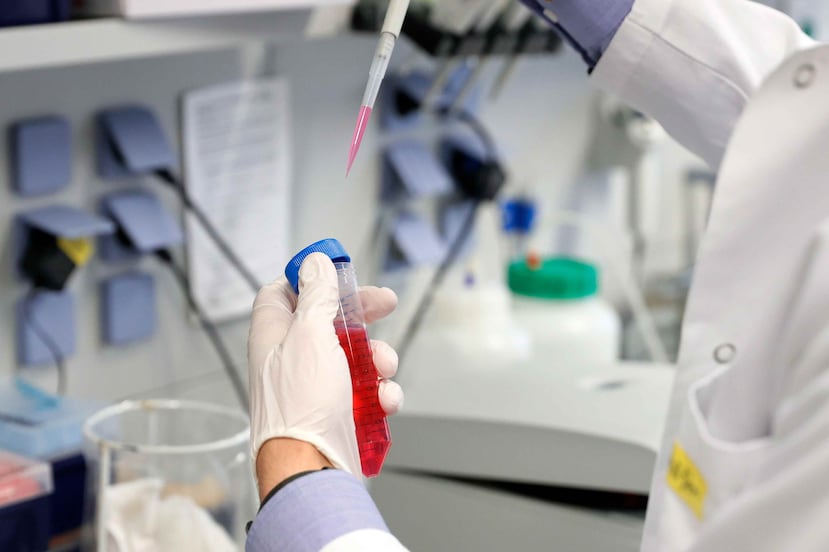 Los investigadores de Scripps Research, Florida descubrieron que la mutación, conocida como D614G, estabilizaba las proteínas en forma de espiga del virus. (EFE / Ronald Wittek)