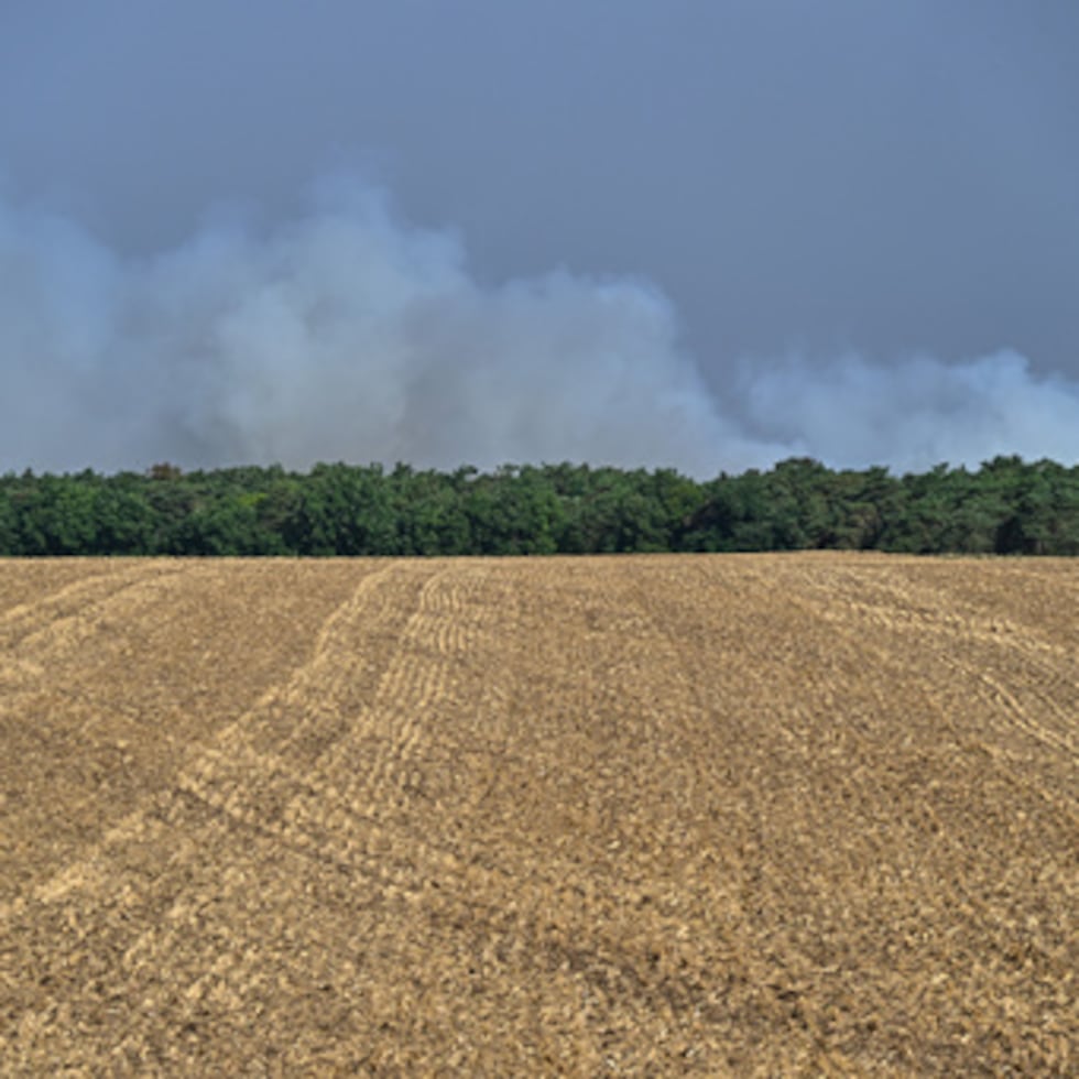 El humo se eleva desde los incendios forestales en el bosque histórico de Fontainebleau, a unas 37 millas al sur de París.