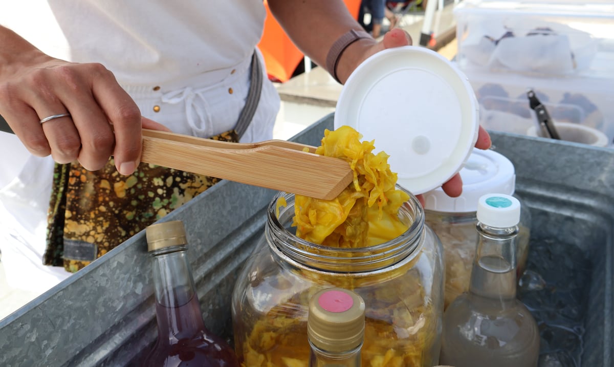 Científicas puertorriqueñas destacan a nivel nacional con fermentación agroturística
