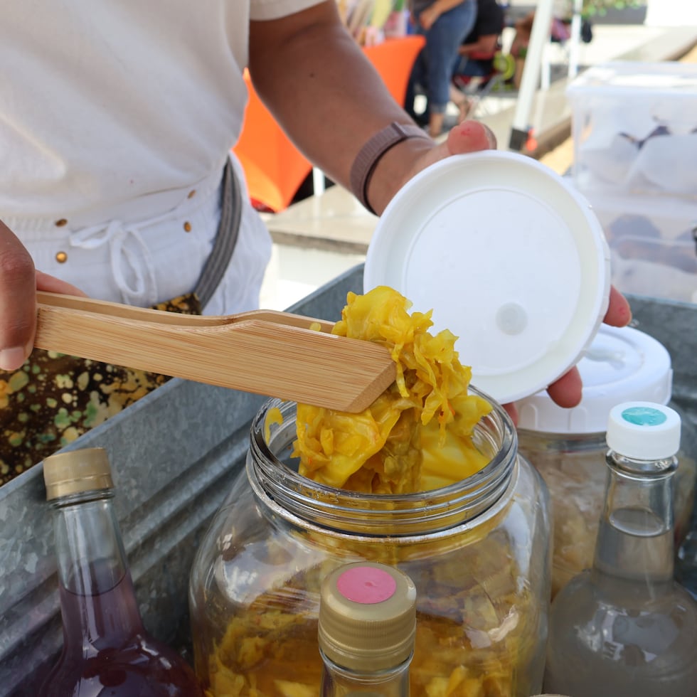 Bacterial fermentation enables the production of several key products made in Puerto Rico, such as rum, maví, and beer, as well as gut-healthy foods like sauerkraut.
