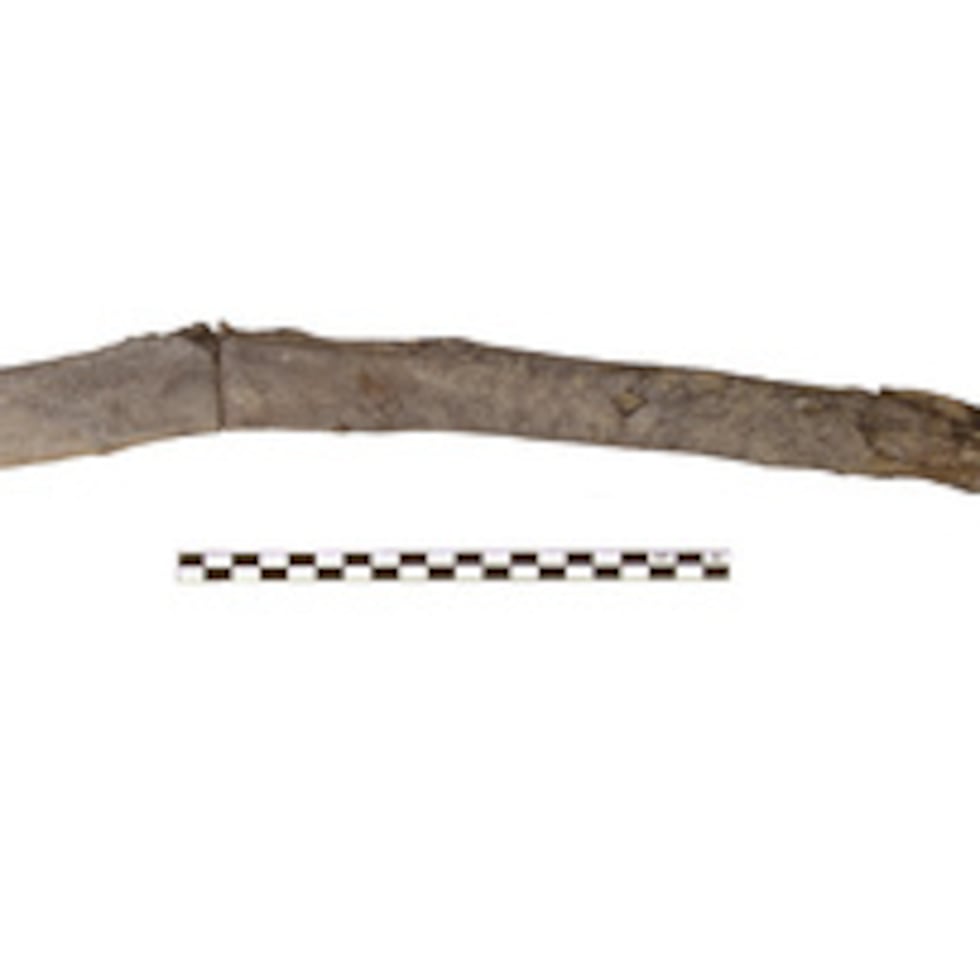 Esta imagen sin fecha facilitada por Katerina Harvati muestra una herramienta de madera de 430,000 años de antigüedad procedente de Grecia que posiblemente se utilizaba para excavar.