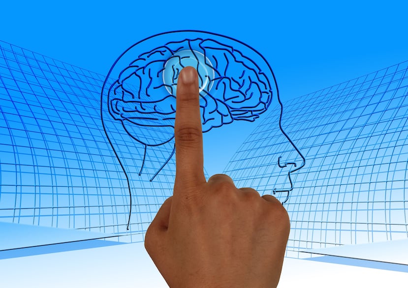 Es posible que no haya una trayectoria predestinada cuando se trata de la salud del cerebro. ( Gerd Altmann / Pixabay)