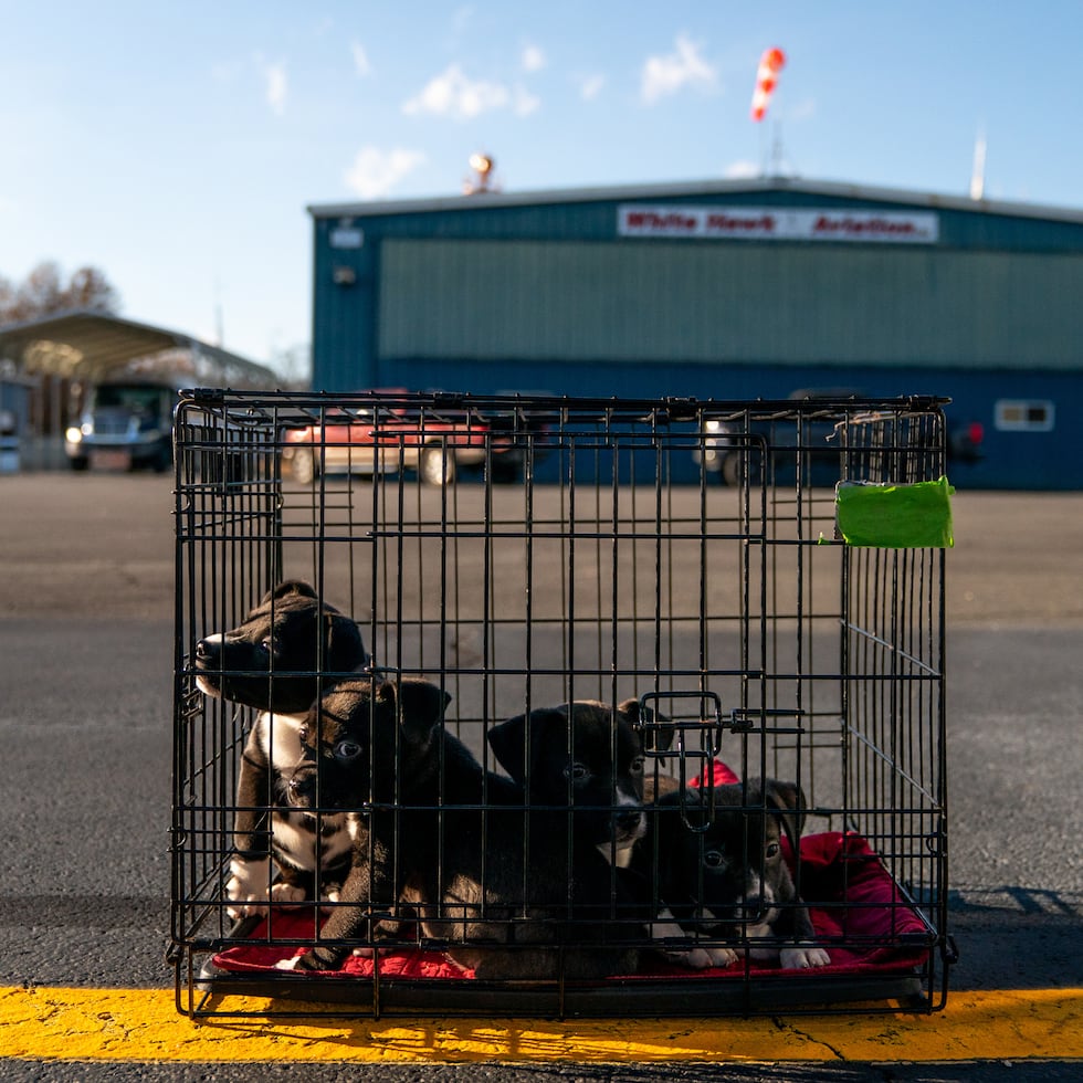 Los pilotos usan sus propios aviones y cubren los costos de vuelo, que ascienden a cientos de dólares por hora.