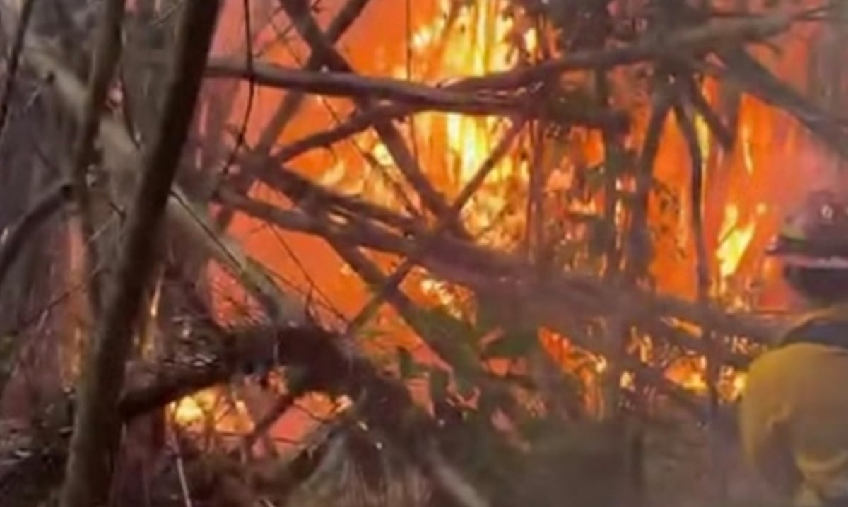 Alcalde de San Germán denuncia "mano criminal" tras siete incendios forestales