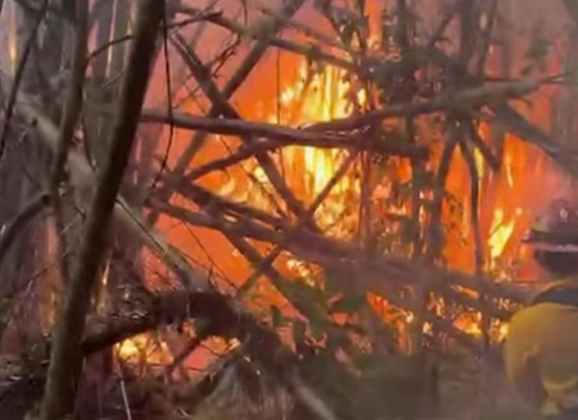 El alcalde de San Germán, Virgilio Olivera, indicó la semana pasada que se identificaron siete fuegos forestales.