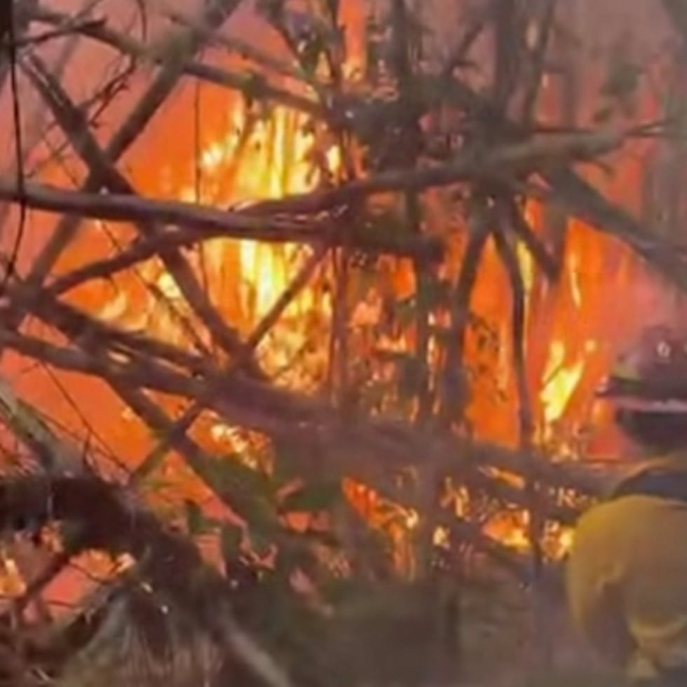 El alcalde de San Germán indicó que se identificaron siete fuegos forestales.