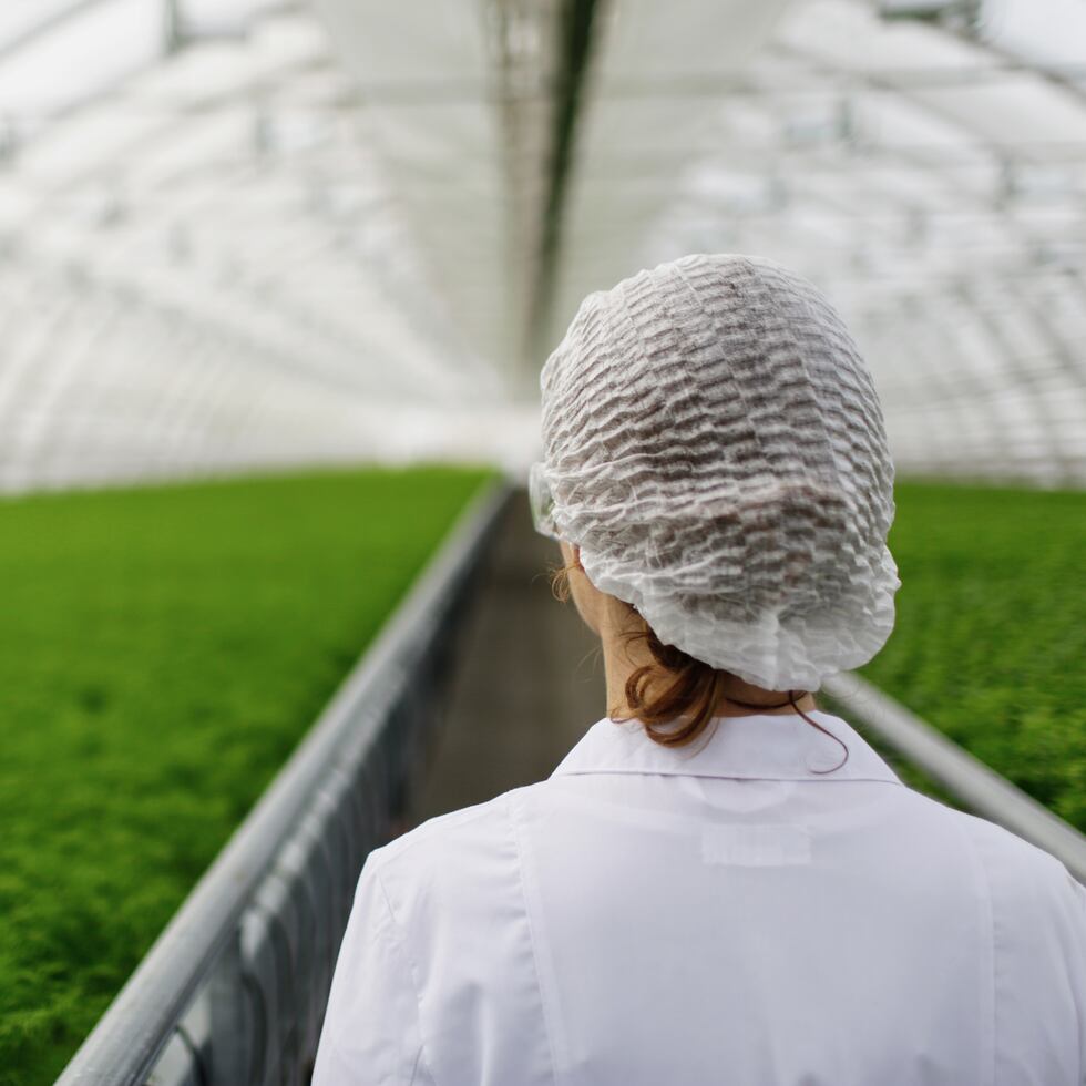 Cada idea científica tiene un recorrido que se puede medir a través del Nivel de Preparación Tecnológica (TRL- Technology Readiness Level), un marco desarrollado por la NASA que permite identificar cuán lista está una tecnología para ser aplicada comercialmente, señala Crespo.