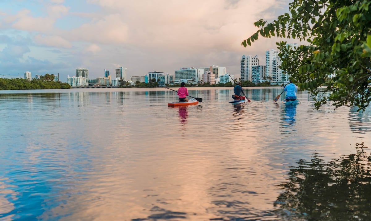 Estuario de la Bahía de San Juan celebra Semana de los Estuarios con 18 eventos