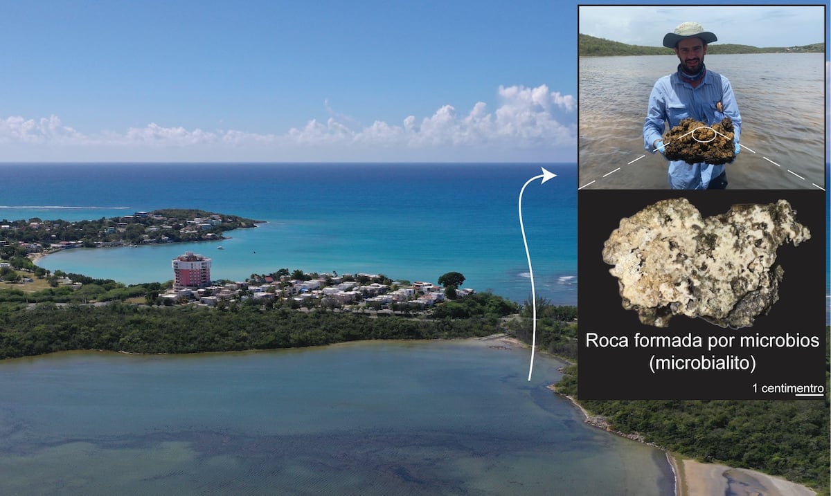 Descubren en Guánica estructuras rocosas que ayudarían a identificar vida en Marte