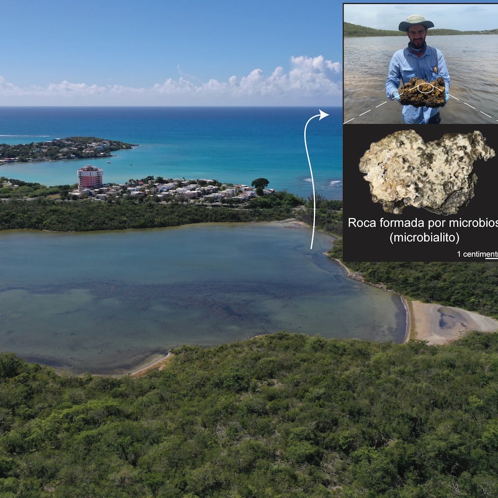 El candidato doctoral Bryan Rodríguez Colón descubrió los primeros microbialitos (rocas formadas por bacterias) de Puerto Rico en la Laguna Providencia, en Guánica. Foto aérea: James Padilla.