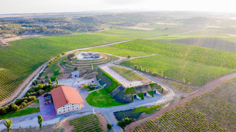 Valduero conserva 12 hectáreas para cultivar la uva albillo mayor.