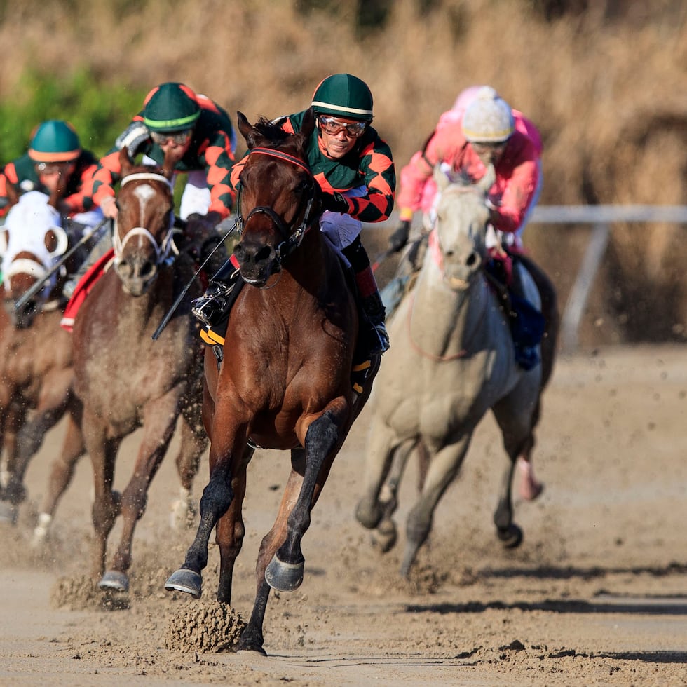 El uso del fuete se limita a ocho golpes en toda la carrera, a no más dos "fuetazos" consecutivos, entre otros cambios, y se elimina el uso de espuelas.