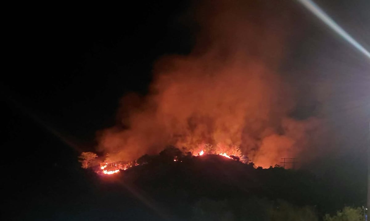 Controlan incendio forestal de grandes proporciones en Sabana Grande